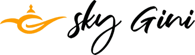 SkyGini